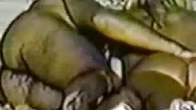 Gangbang porno fait a la maison Fille Caroline