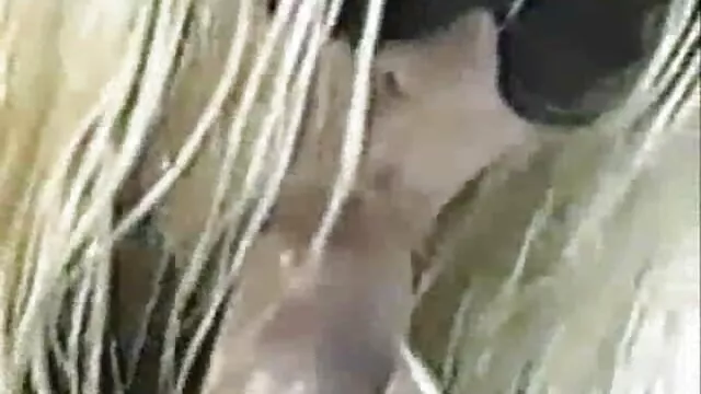 Une blonde ukrainienne se video xxx maison fait sodomiser et se fait sodomiser
